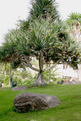 gardens3